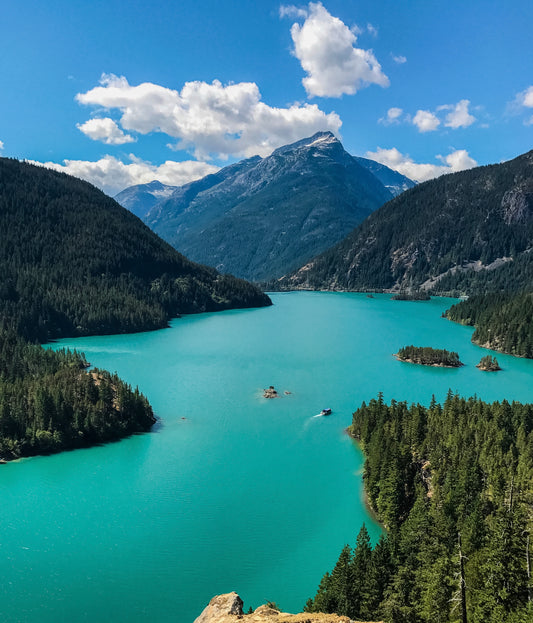 Tunes to Roam With - Spring '20