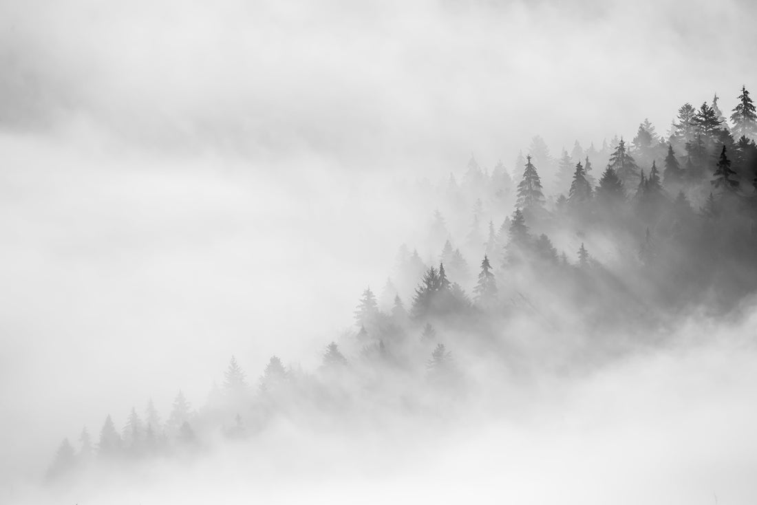 Climate Change Is Real